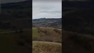 g&ouml;yg&ouml;l yeni zod