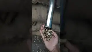 BENIN CASHEW