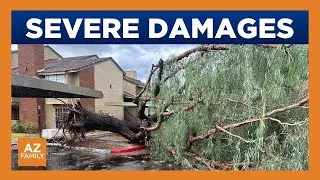 Best viewer videos from severe storms across Arizona
