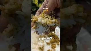 सर्दियो में साग भात ☘️ Healthy & Traditional food Shorts #viral #saronkasaag 💥🍃🧡