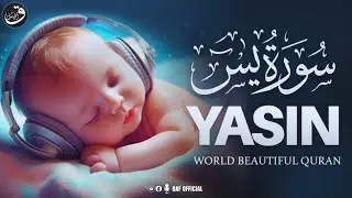 Surah Yaseen | Heart Softening Quran Recitation (سورة يس) | QAF Official