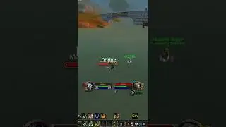 WoW Classic Era restoration shaman twink pvp #183 - paladin(22) - pool party🌊🌊🌊