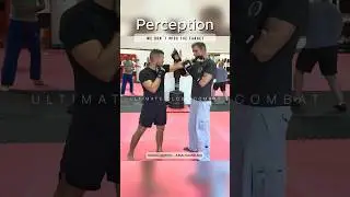 PERCEPTION - WE DON`T MISS THE TARGET  /  UCC - ULTIMATE CLOSE COMBAT Training Skills