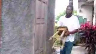 Rum Roy  n TinTin (R.I.P)