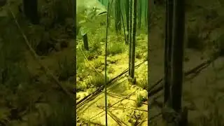 How Fast Can a Bass find Your bait ( UNDERWATER EAT ) #Shorts