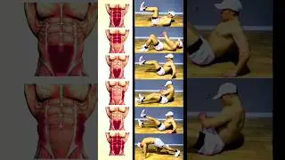 Quick Fitness || Fast Workouts ||Real Results #workout #exercise #gymmotivation #gym