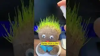 This is a doll with grass on its head #toys #doll #home #goodthing