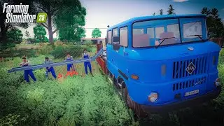 Hired Local Kids to harvest GREEN BEANS on ABANDONED POLISH FARM...