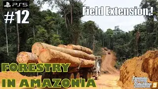 New Area & Field Extension | FORESTRY IN AMAZONIA #12 | PS5/HD | FS19
