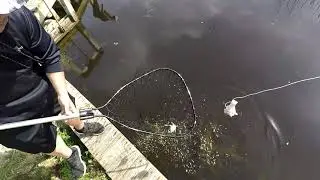 crabbing at the outer banks