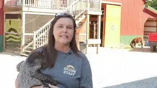 Destination Ocoee:  Ocoee Riverside Farm