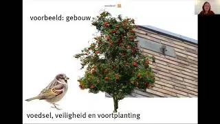 Webinar Natuurinclusief Bouwen presentatie Maike van Stiphout