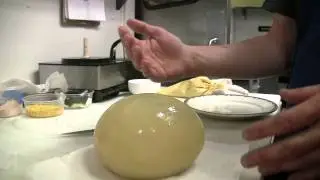 Key Ingredient: Ostrich Egg