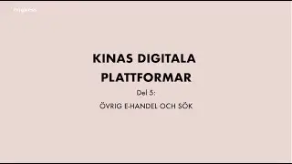 AVSNITT 3, DEL 5. KINAS DIGITALA PLATTFORMAR: &Ouml;VRIG E-HANDEL & S&Ouml;K