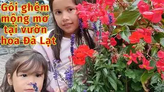H&agrave;nh tr&igrave;nh gia đ&igrave;nh kh&aacute;m ph&aacute; Đ&agrave; Lạt: B&igrave;nh y&ecirc;n b&ecirc;n hồ v&agrave; rực rỡ sắc hoa