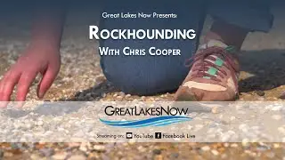 Great Lakes Now Presents: Rockhounding with Chris Cooper featuring Petoskey Stones
