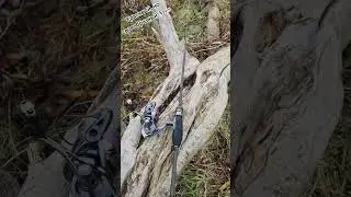 побывал в руках Nissin Ares Blue Porter AJ 606S. своеобразный колышек. #shimano #ares #nissin