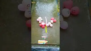 Bottles Breaking & Balloons Drop #asmr #satisfying #relaxing