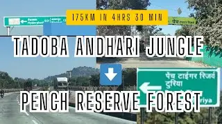 Tadoba Andhari to Pench Reserve Forest | 179km in 4hrs | Roadtrip you cannot miss | Travel vlog |