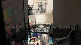 Leaders Of The New School - What's Next (Large Professor Remix) #hiphop #vinyl #rap #record #boombap