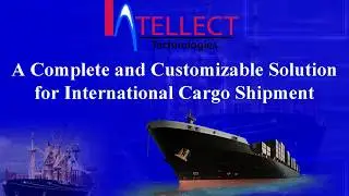 A Complete and Customizable Solution for International Cargo Shipment