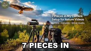 7 Pieces in My Camera Setup for Nature Videos Simple Reliable Great Audio | Hawk Sky... AL