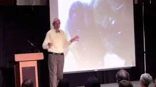 Digital Phenomena & The Continuity of Experience
