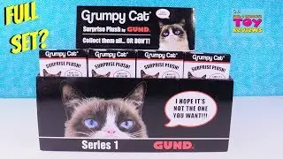 Grumpy Cat Surprise Plush Series 1 Toy Review Opening | PSToyReviews