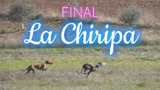 Final Club La Chiripa 2024