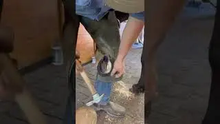 Making a leather rim pad￼
