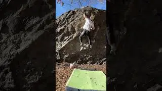 Rat Patrol