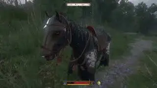 Kingdome Come Deliverance 2 Part 67
