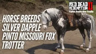 Red Dead Redemption 2: Horse Breeds - Silver Dapple Pinto Missouri Fox Trotter (Cinematic Overview)