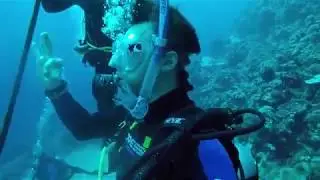 Diving at 30 meters in the Red Sea