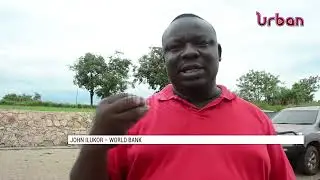 Rice farming in Amuru