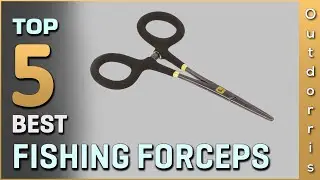 Top 5 Best Fishing Forceps Review 2025