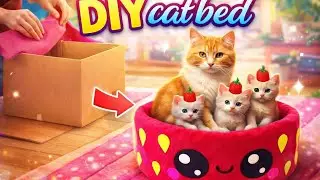 Mom cat and kittens are happy to have a new home. DIY cat house
