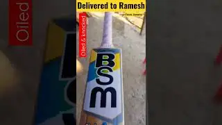 oiled cricket bats | Ready to play cricket bats| pinch hitter cricket bat #trending #youtubeshorts