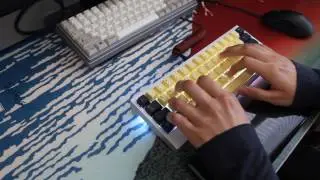 Duck Viper V2 | 62g Gateron Blacks w/ GMK Penumbra