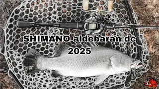 Обзор Shimano Aldebaran DC 31 HG. Чуть не продал, пока не разобрался! #рыбалка #кастомизациярыбол...