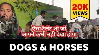 Rare Horses 🐎 & Dogs 🐶 Showcase | Lovely Animals