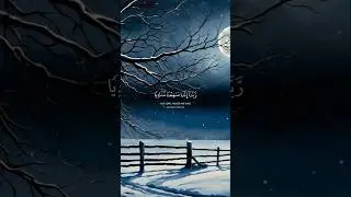 Telawat Quran best voice | Mr Shahid video maker #quran #shorts #islam #surah #surat #foryou #reels