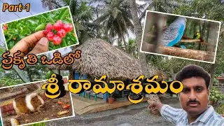 Beautiful Place for Relaxation: Sri Rama Asramam Part-1