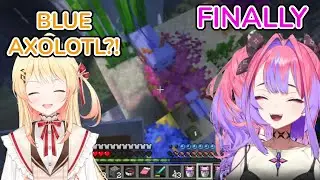 Vivi Breeds Blue Axolotl And Shows Kanade [Kikirara Vivi | Hololive Flow Glow | EN Subs]