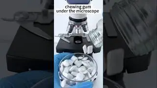 चिंगम under the microscope 😱🔬 #shorts #facts #microscope