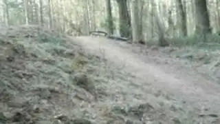Poldzer xD Team   na Rowezykach xD ; Hardcore