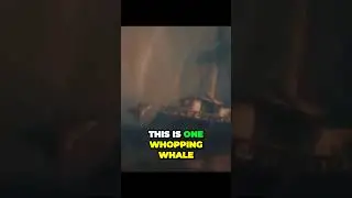 Geppettos Peril inside Monstro the Whopping Whale #motivation
