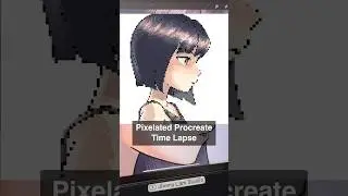 Procreate Pixelated Blurry Time Lapse