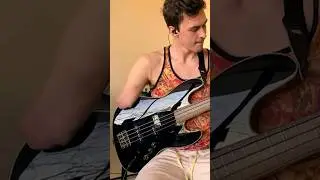 Check out this incredible one-armed bass player!