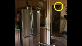 Unknown entity caught on camera (REAL)